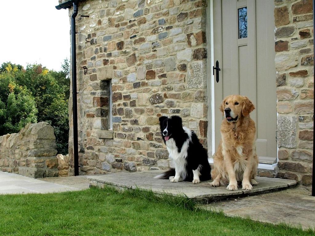 Plum Tree Cottage Witton le Wear Zimmer foto